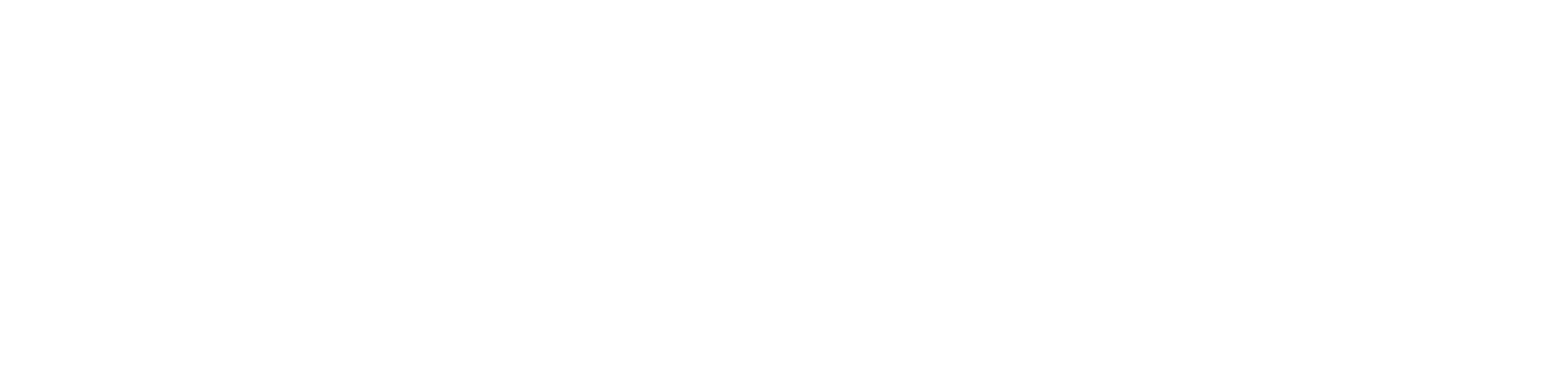 Bonfire Legend Logo