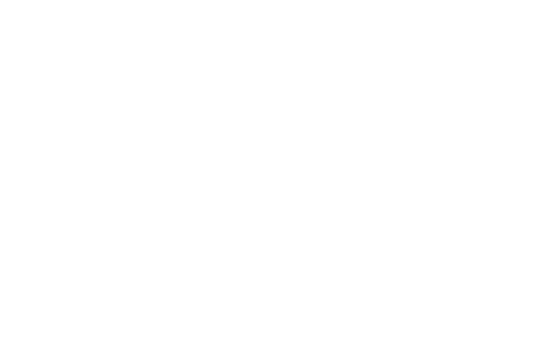 Montana Logo
